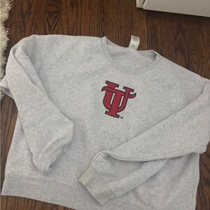 UNIVERSITY OF TAMPA Gray Crewneck